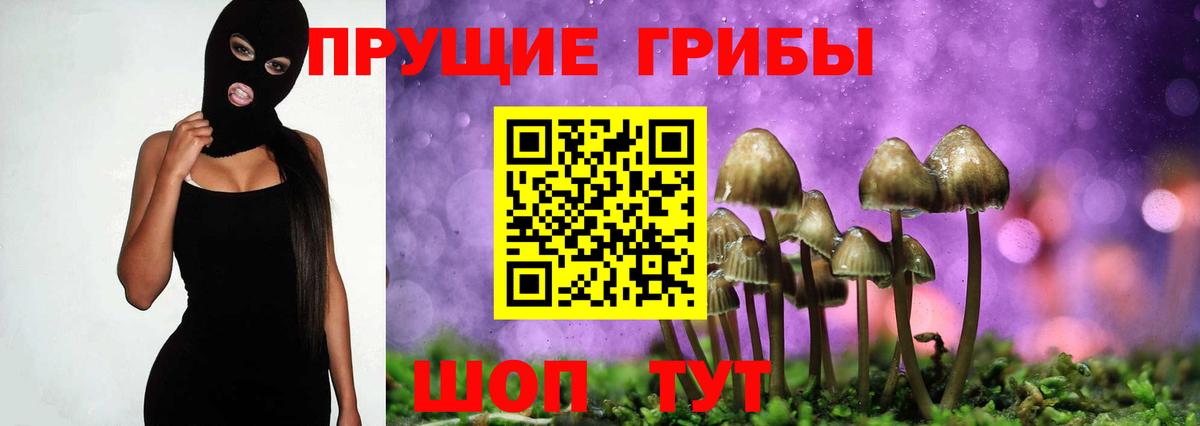 Керчь  Псилоцибиновые грибы прущие грибы  Вход с VPN 